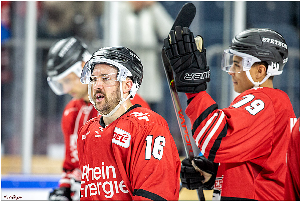 DEL; Koelner Haie - Straubing Tigers; Koeln, 17.11.2019